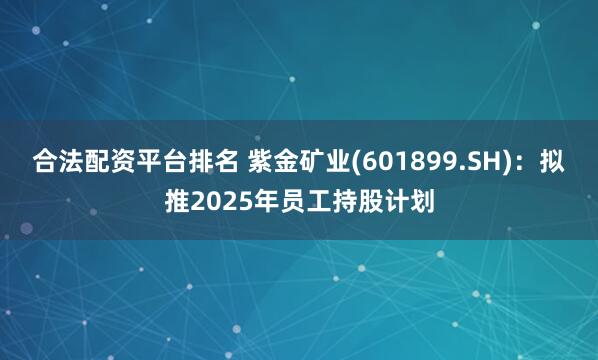 合法配资平台排名 紫金矿业(601899.SH)：拟推2025年员工持股计划